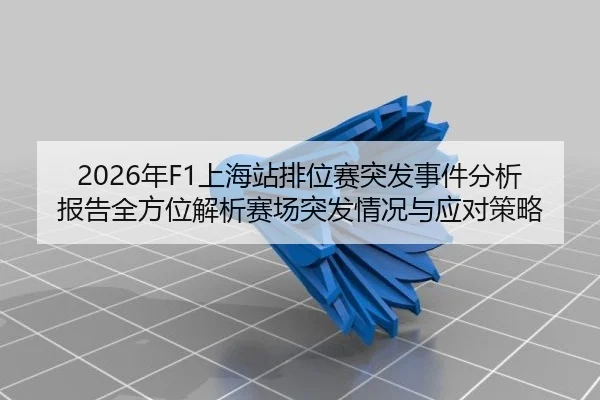 2026年F1上海站排位赛突发事件分析报告全方位解析赛场突发情况与应对策略